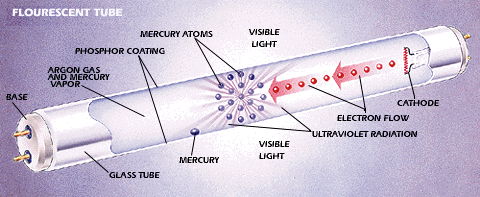 Fluorescent lighting