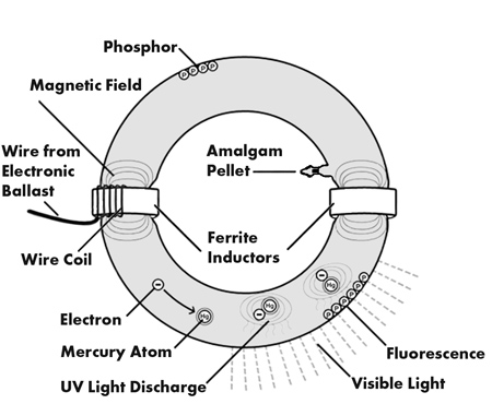 Induction Fluorescent lighting